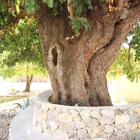 Tatil Evi Kaya Vadi Villas Kayaköy